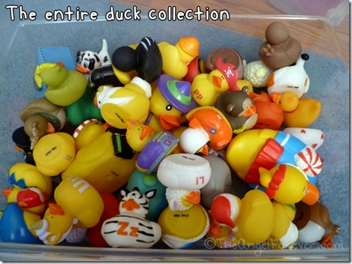 Larger Rubber Duck Collection