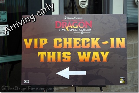 VIP Entrance - How to Train Your Dragon Live Show