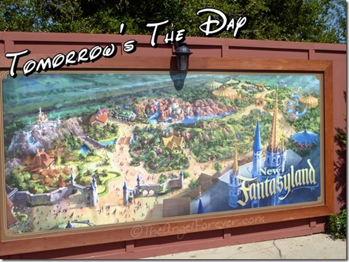 New Fantasyland Wall