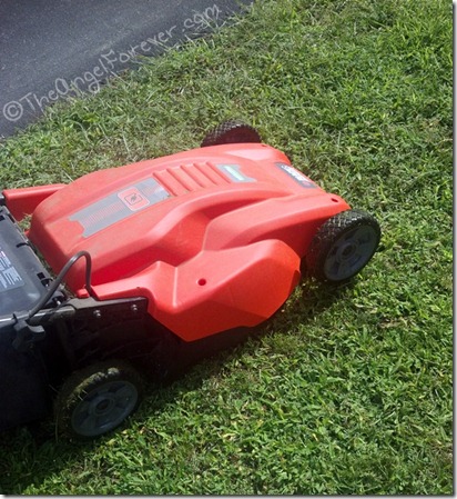 Green Grass and new lawn mower