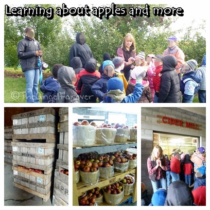 Learning about apples at Indian Ladder Farms