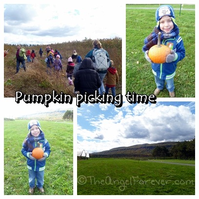 Pumpkin picking at Indian Ladder Farms