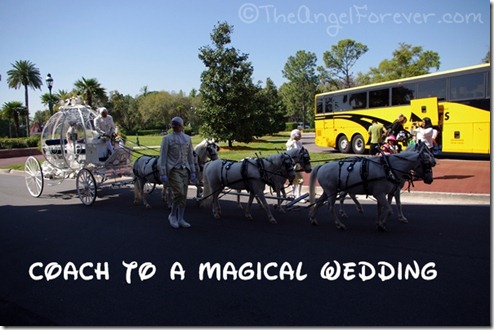 Disney Wedding Coach