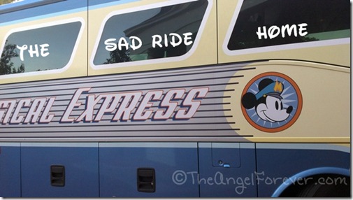 Disney's Magical Express