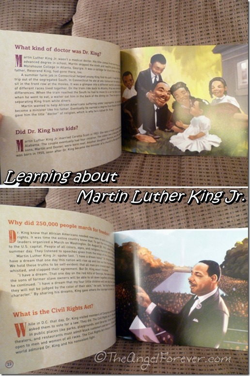 Inside What Was Your Dream, Dr. King