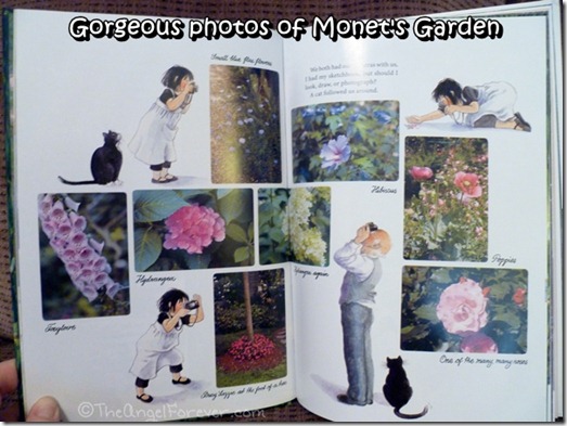 Photos from Monet's Garden