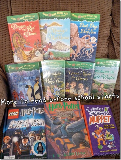 More Summer Reading Ideas