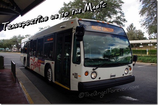 Walt Disney World Busing